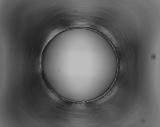 X0000102841370200809021326