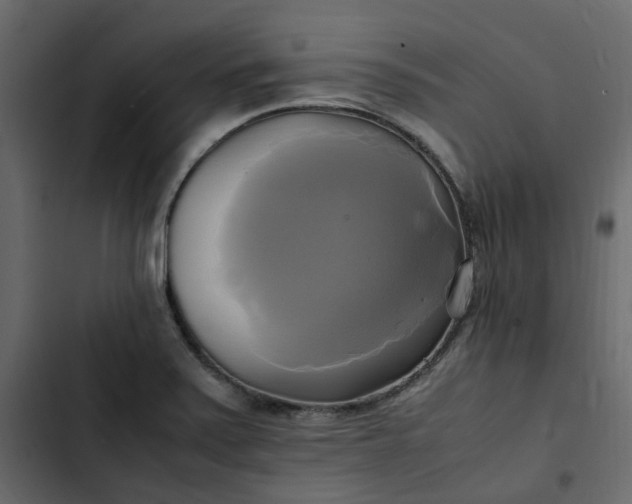 X0000102841371200809021326