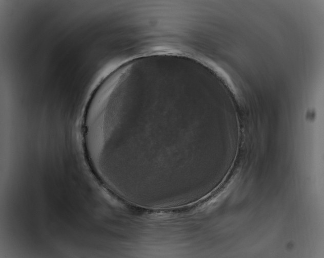 X0000102841373200809021326