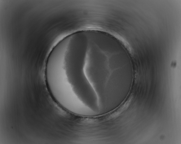 X0000102841374200809021326