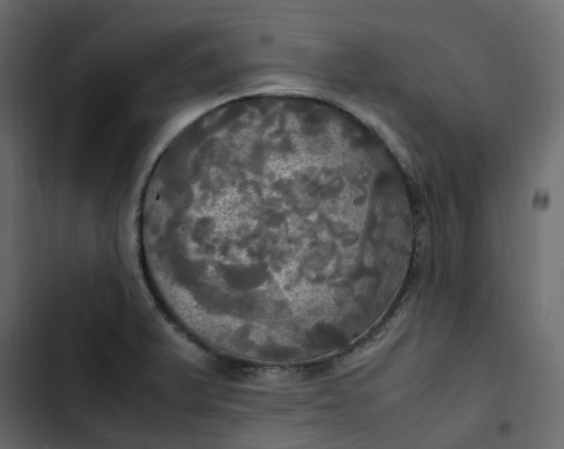 X0000102841375200809021326