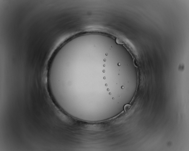 X0000102841376200809021326