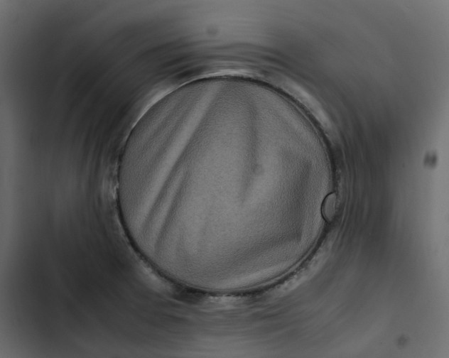 X0000102841377200809021326