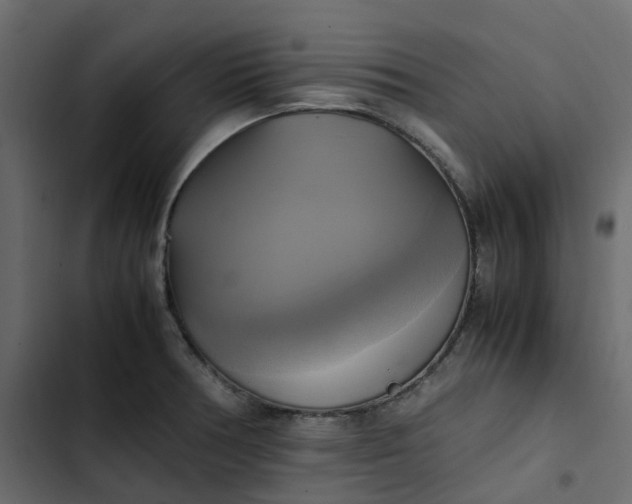 X0000102841378200809021326