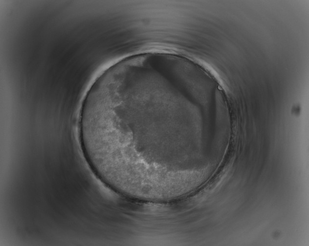 X0000102841379200809021326