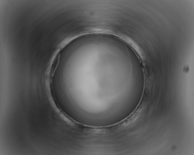 X0000102841381200809021326