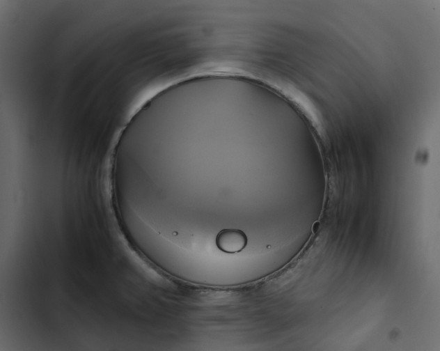 X0000102841382200809021326