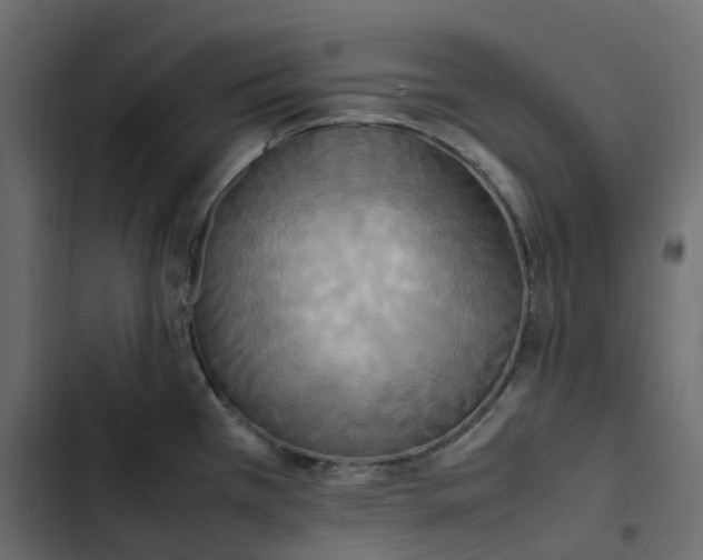 X0000102841385200809021326