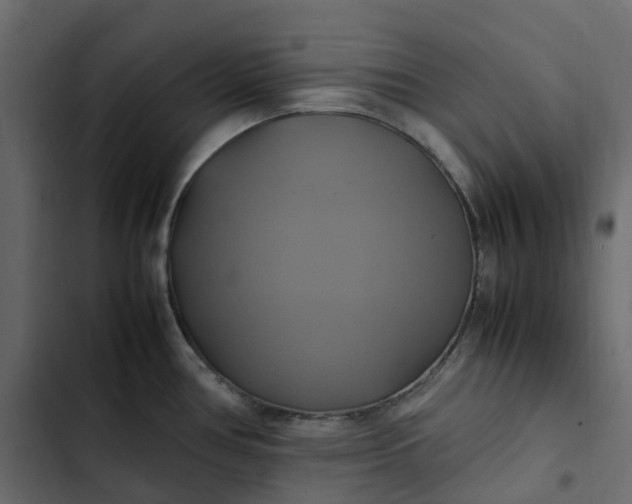 X0000102841386200809021326