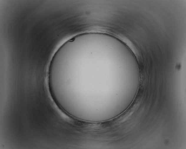 X0000102841387200809021326