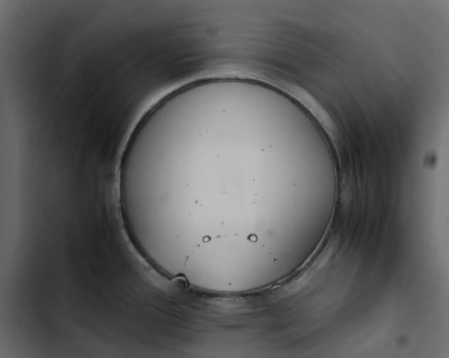 X0000102841388200809021326