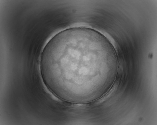 X0000102841390200809021326