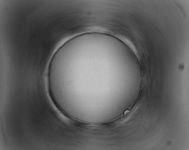 X0000102841391200809021326