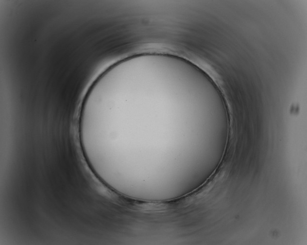 X0000102841392200809021326