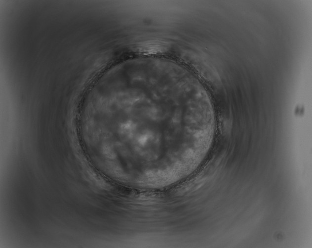 X0000102841393200809021325