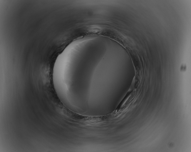 X0000102841394200809021325