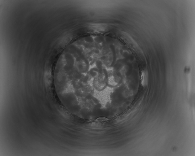 X0000102841395200809021325