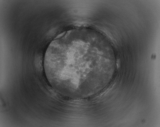 X0000102841396200809021325