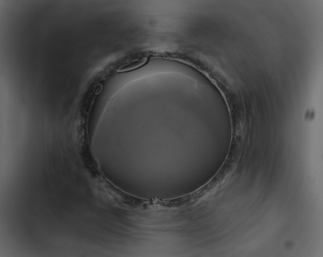 X0000102841398200809021325