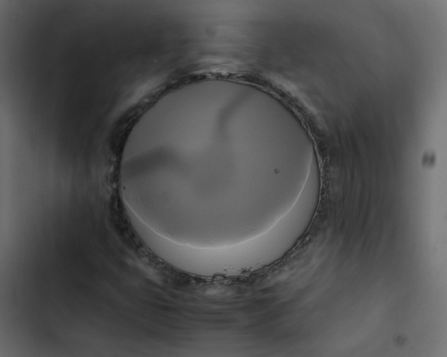 X0000102841399200809021325