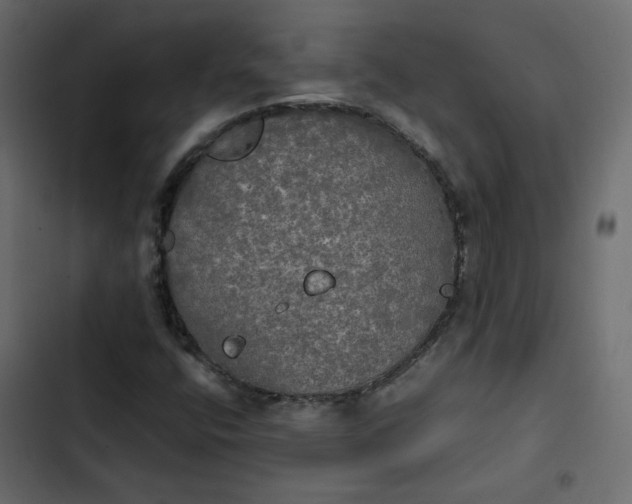 X0000102841400200809021325