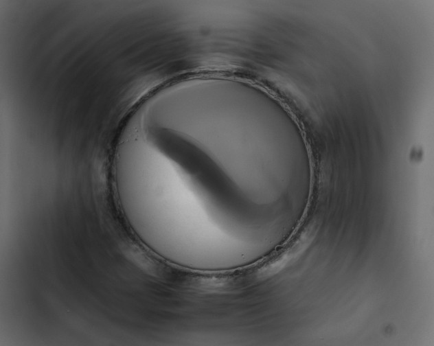 X0000102841401200809021325