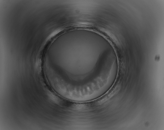 X0000102841402200809021325