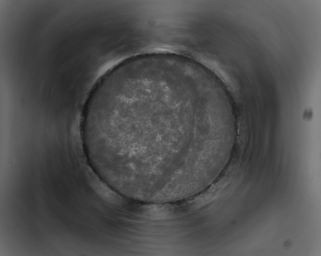 X0000102841404200809021325