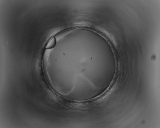 X0000102841405200809021325