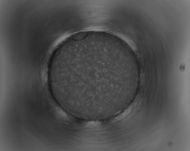 X0000102841406200809021325