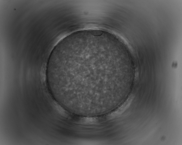 X0000102841409200809021326