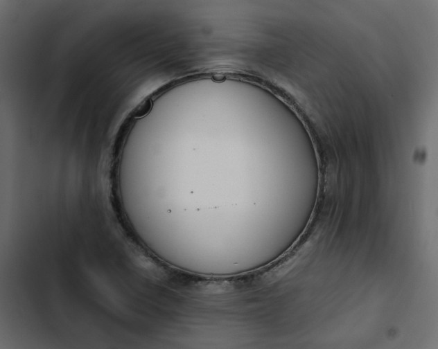 X0000102841410200809021326