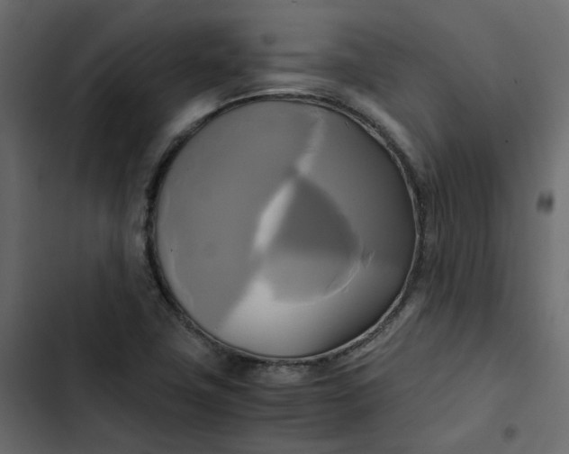 X0000102841411200809021326