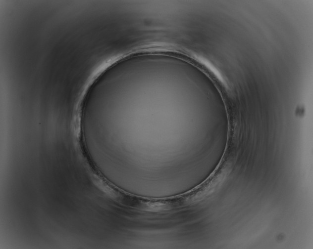 X0000102841413200809021326