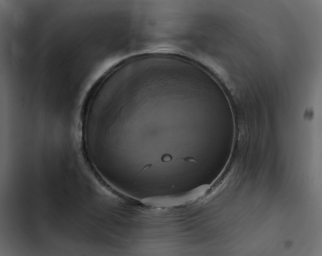 X0000102841414200809021326