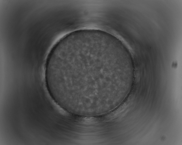 X0000102841416200809021326