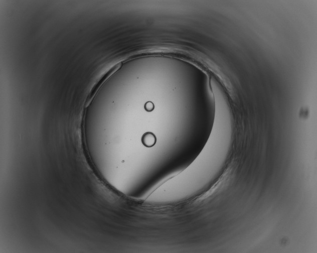 X0000102841417200809021326