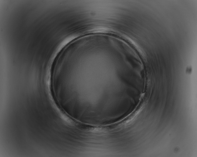 X0000102841418200809021326