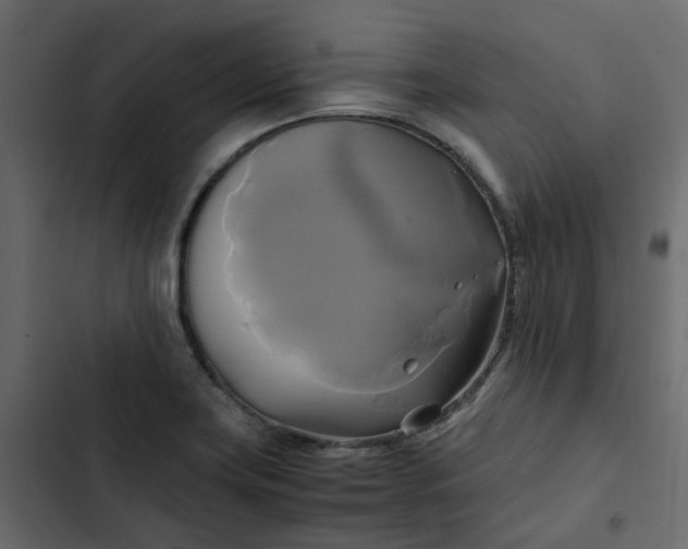 X0000102841419200809021326