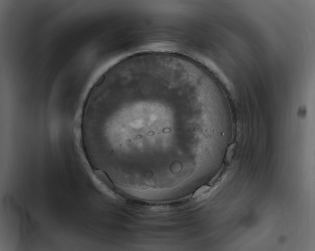 X0000102841421200809021326