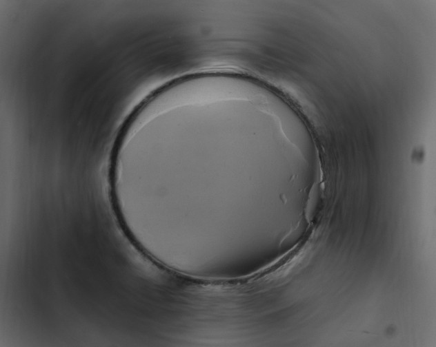 X0000102841422200809021326