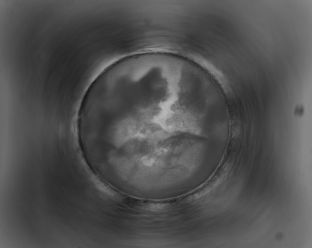 X0000102841423200809021326