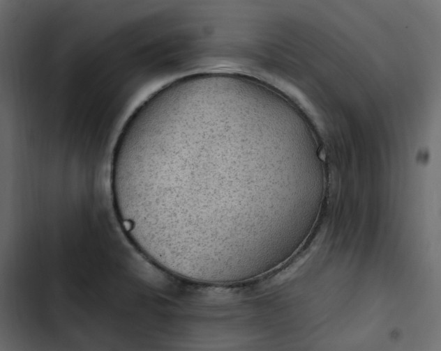 X0000102841424200809021326