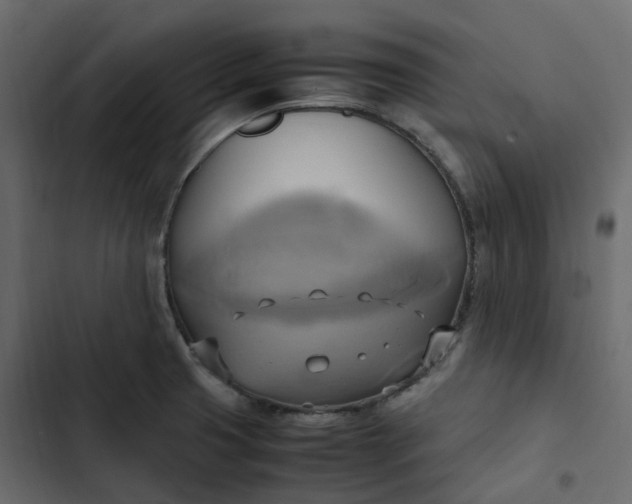 X0000102841425200809021326