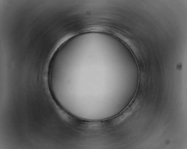 X0000102841426200809021326