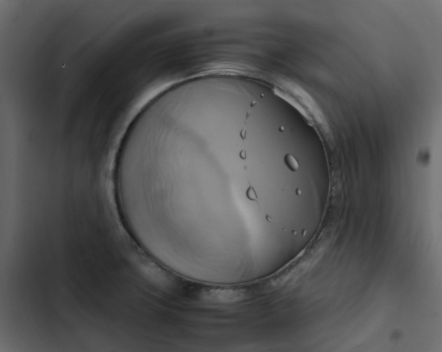 X0000102841427200809021326