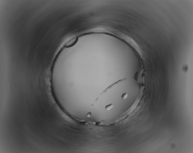 X0000102841428200809021326