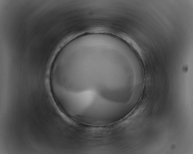 X0000102841429200809021326