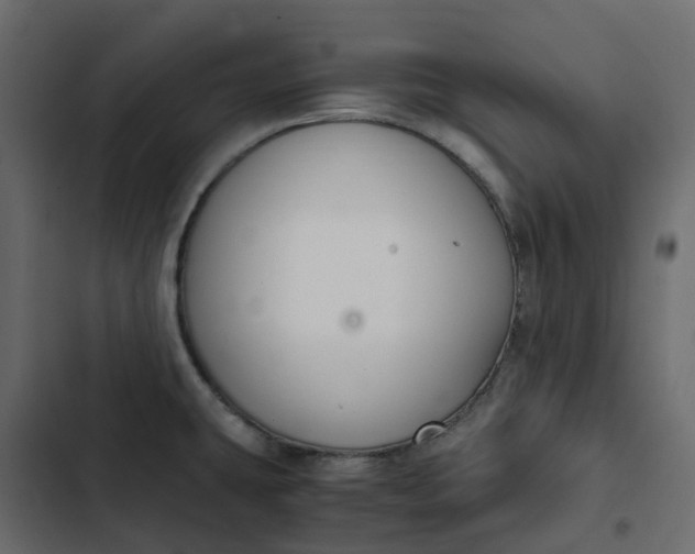 X0000102841431200809021326