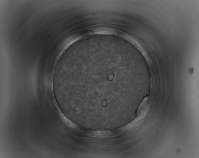 X0000102841433200809021326